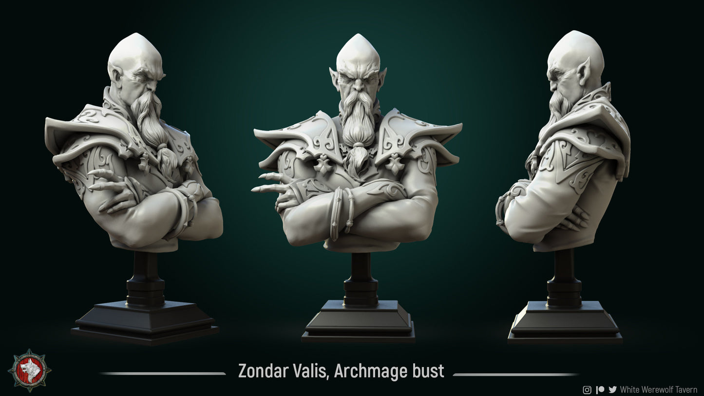 Zondar Valis Archmage Bust "Academy of Magic" from White Werewolf Tavern