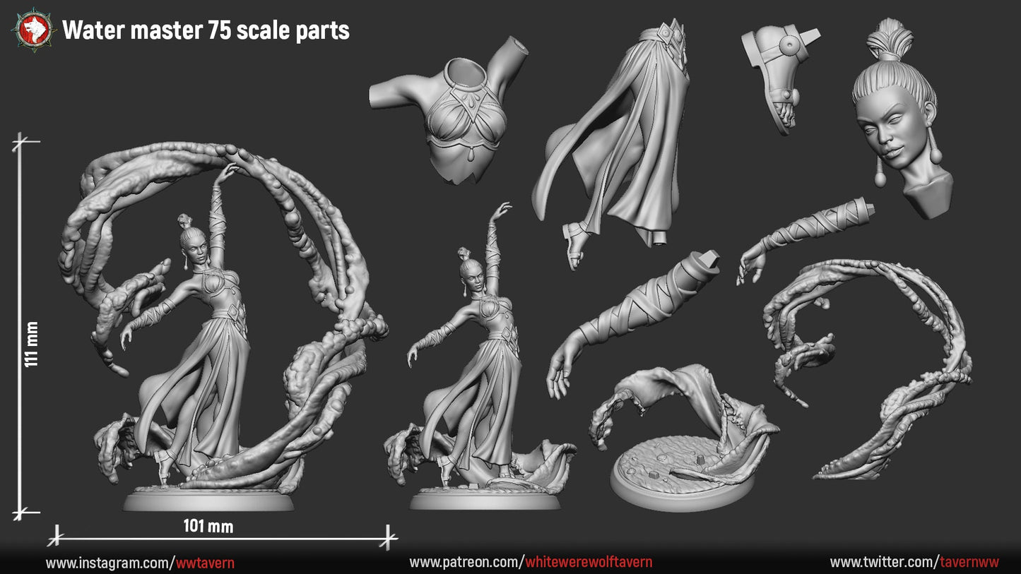 Water Master from "4 Elements" by White Werewolf Tavern Miniatures RPG