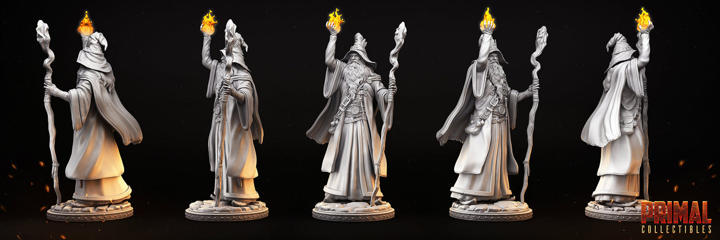 Solon Old Wizard by Primal Collectibles Miniatures Heroquest RPG