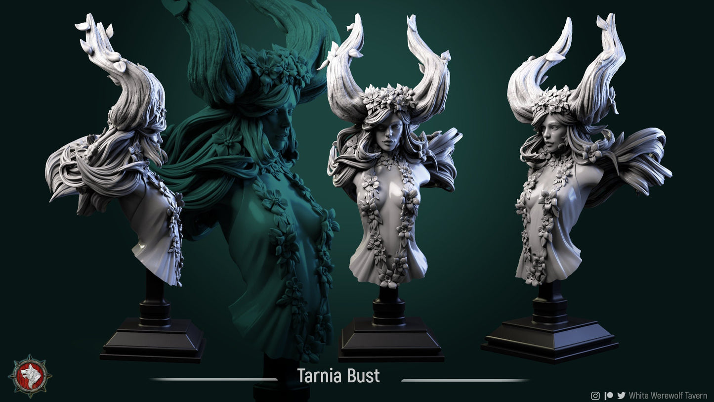 Tarnia Elven Queen Bust from "Elven Veil" by White Werewolf Tavern Miniatures RPG