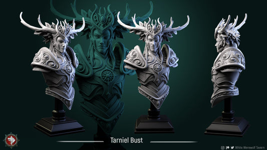 Tarniel Bust from "Elven Veil" by White Werewolf Tavern Miniatures RPG