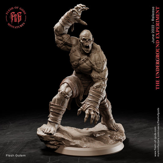 Flesh Golem from "Underground Experiment" by Flesh of Gods Miniatures