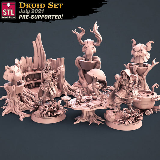 Druid Set by STL Miniatures