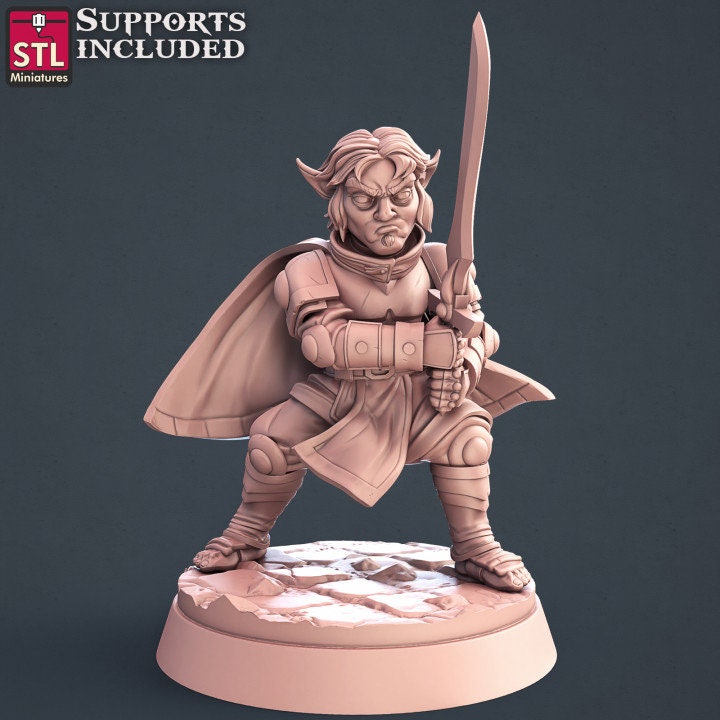 Paladin Set by STL Miniatures