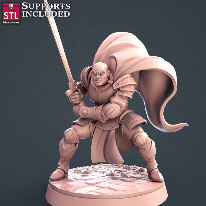 Paladin Set by STL Miniatures