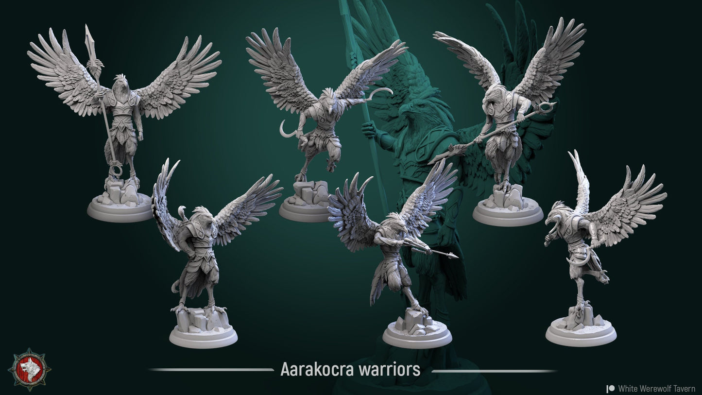 Aaracokra Warriors from "Winged Warriors" by White Werewolf Tavern Miniatures