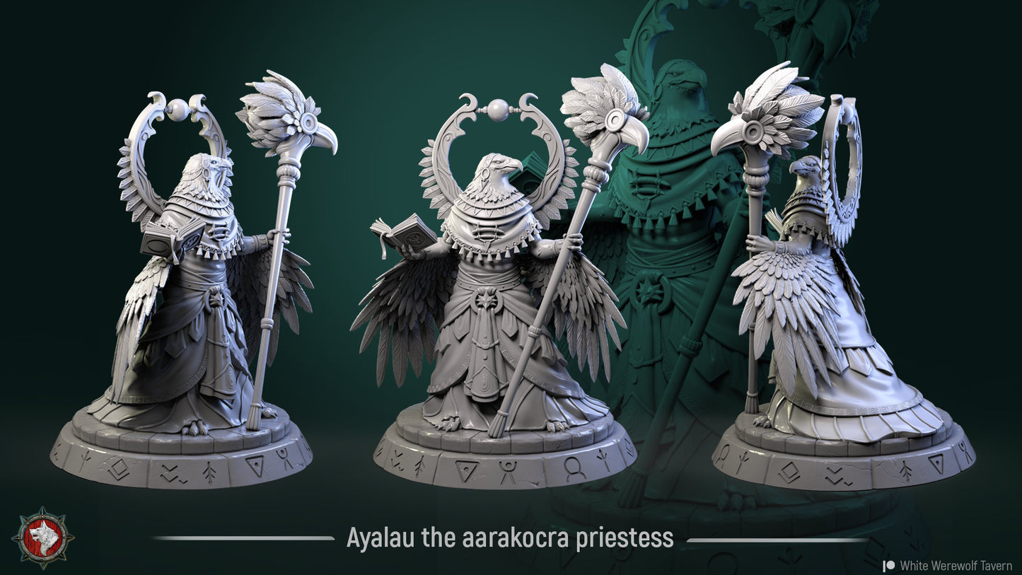 Ayalau Priestess from "Winged Warriors" by White Werewolf Tavern Miniatures