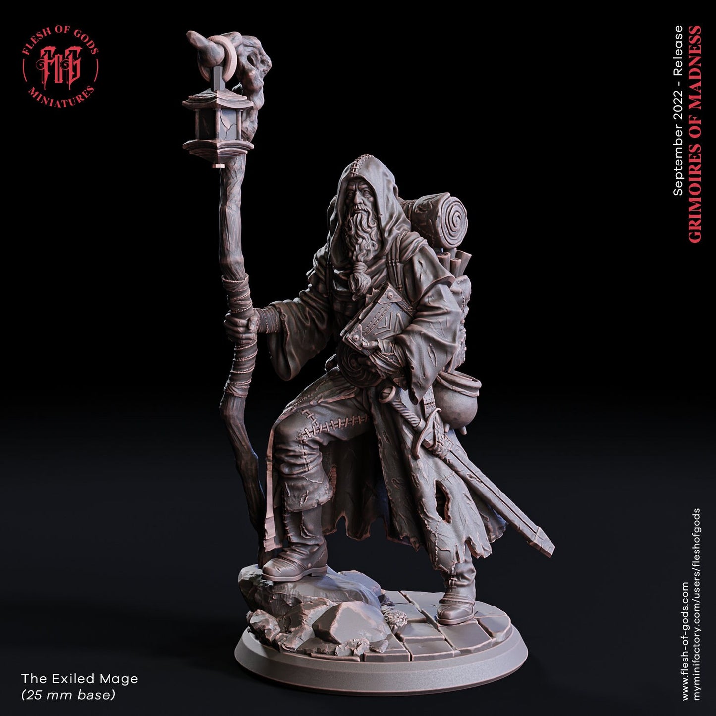 Exiled Mage from "Grimoire of Madness" by Flesh of Gods Miniatures