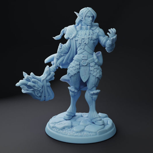 Phaden Elf Paladin by Twin Goddess Miniatures