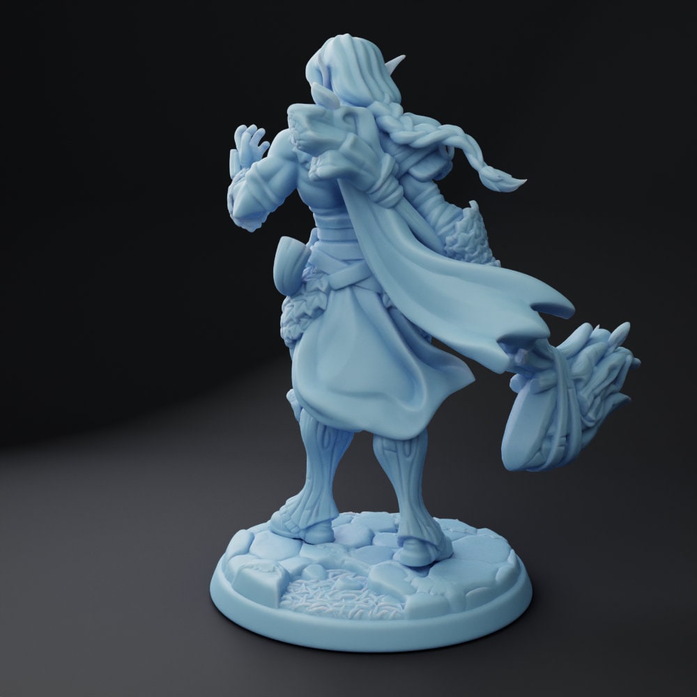 Phaden Elf Paladin by Twin Goddess Miniatures