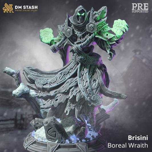 Brisini Wraith from "Thawing Dead" by DM Stash Miniatures