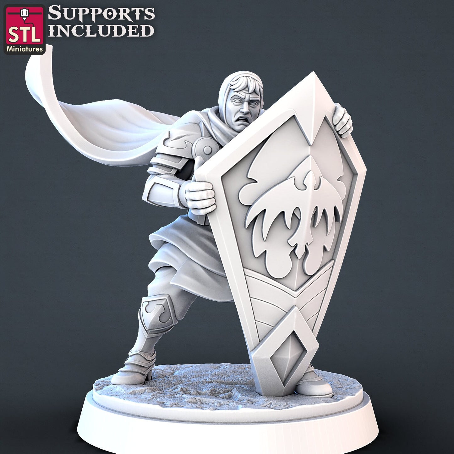 D&D Tribute by STL MIniatures