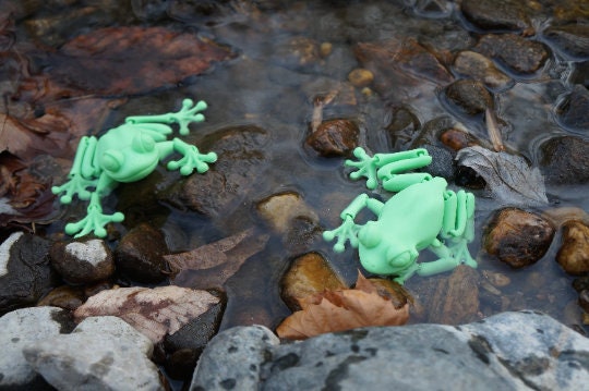 Frog Articulated Toy by Flexi Factory