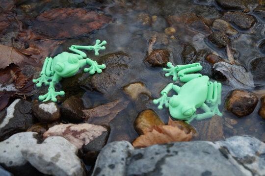 Frog Articulated Toy by Flexi Factory