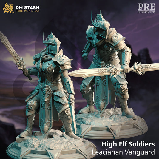 High Elf Soldiers from "Of Elves and Men" by DM Stash Miniatures