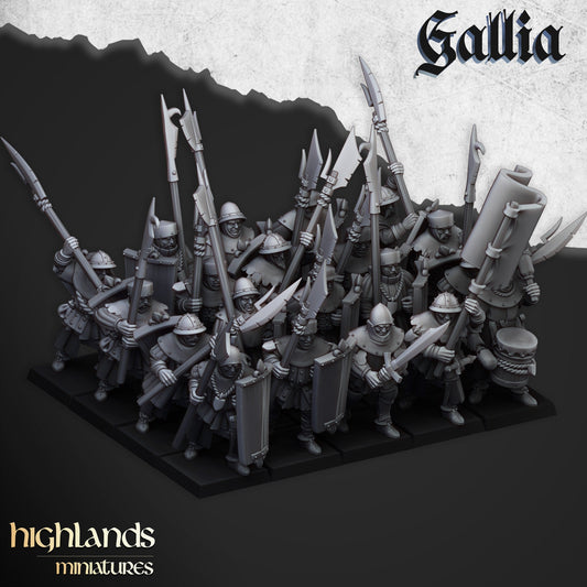 Men at Arms Unit of Gallia  by Highland Miniatures