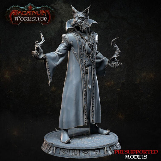 Darius Sorcerer Cat by Arcanum Workshop Miniatures