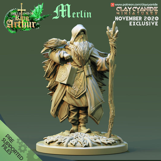 Merlin from "Legend of King Arthur" by Clay Cyanide Miniatures