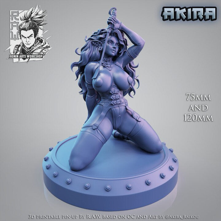 Akira Dark Elf Pin Up Ronin Arts Workshop