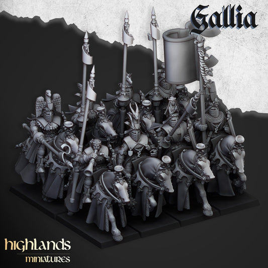 Royal Knight Unit of Gallia  by Highland Miniatures