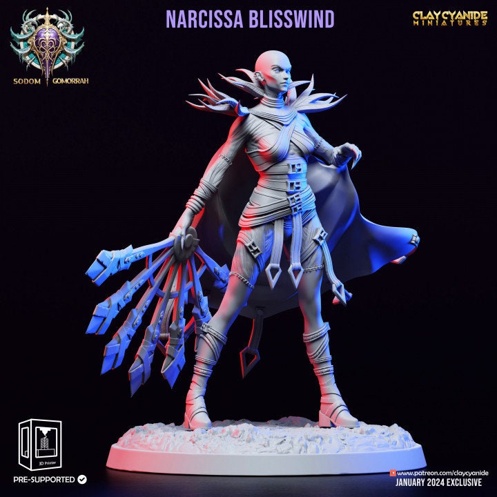 Narcissa Blisswind by Clay Cyanide Miniatures