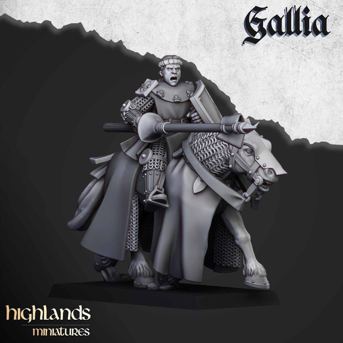 Young Knight Unit of Gallia  by Highland Miniatures