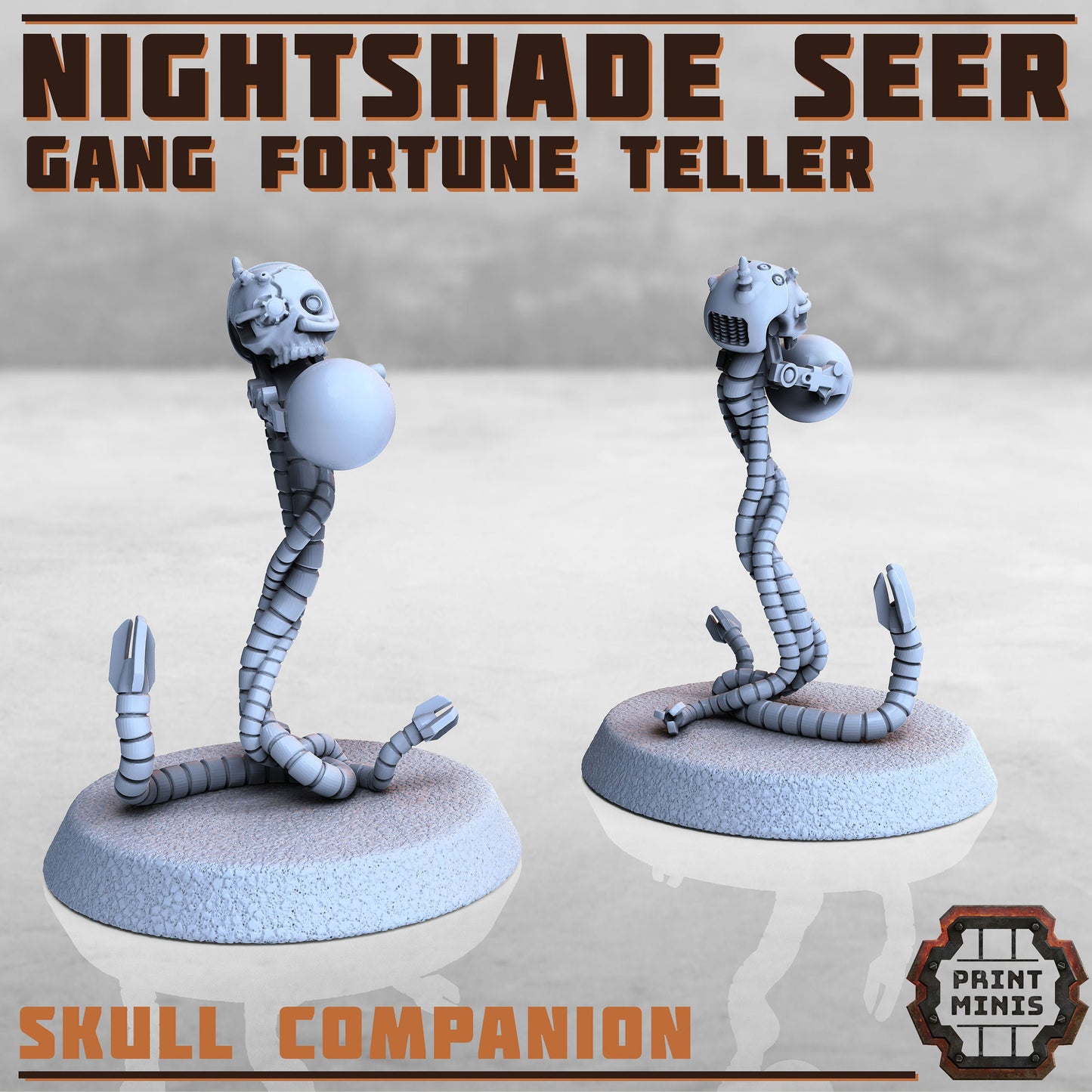 Nightshade Seer by Print Minis Miniatures