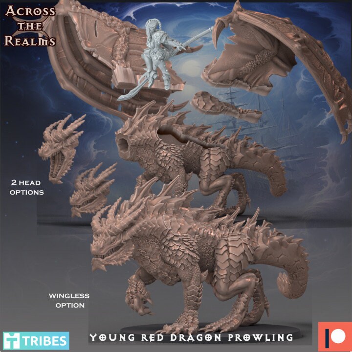 Young Red Dragon Multiple Options by Across the Realms Miniatures