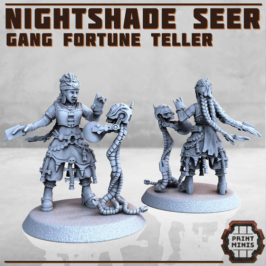 Nightshade Seer by Print Minis Miniatures